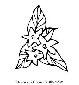 Modern isolated stylized set design with abstract black and white lined flowers. Can be used for printing on paper, textiles, backgrounds, wallpapers
