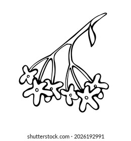 Modern isolated stylized set design with abstract black and white lined flowers. Can be used for printing on paper, textiles, backgrounds, wallpapers