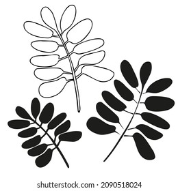 Modern isolated stylized set design with abstract black and white flowers. Can be used for printing on paper, textiles, backgrounds, wallpapers