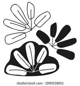 Modern isolated stylized set design with abstract black and white flowers. Can be used for printing on paper, textiles, backgrounds, wallpapers