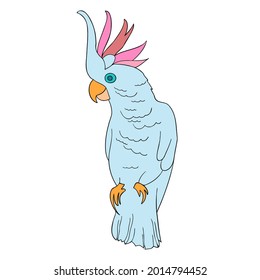 Modern isolated vector colorful design tropical decorative cartoon parrot. Perfect for cards, postcards, advertisements, stickers, badges, tattoos, coloring.