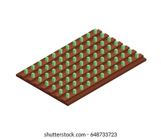 Modern Isometric Organic Farm Illustration Asset - Early Stage Farm Seed