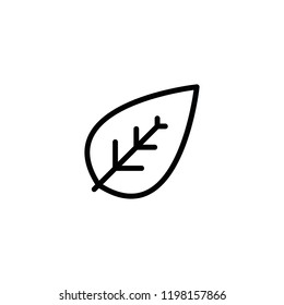 Modern leaf icon
