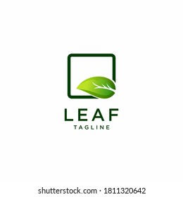 modern leaf logo with box frame.
elegant logo design vector