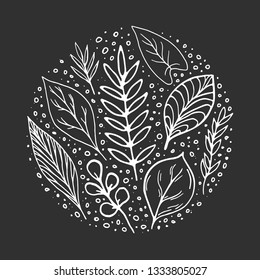 Modern leaves vector set. Isolated  white hand-drawn doodles on chalk black board background. Botanical collection in a circle. Eco design template for logo, t-shirt, mug, cup, postcard, invitation