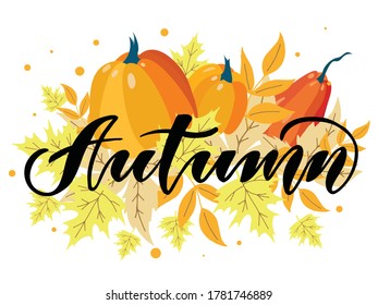 Modern lettering illustration, on a background of autumn leaves and pumpkins, as a poster, postcard, invitation template, advertisement.  Seasons congratulations concept.  Vector illustration