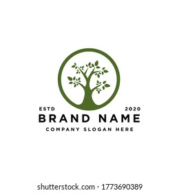 modern life tree logo design vector inspiration