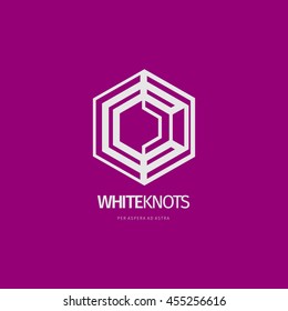 Modern line abstract vector design logo or element. Best for identity and logotypes.