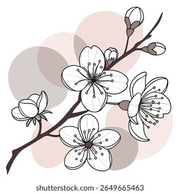 Moderna linha arte vetor de um ramo de flor de cerejeira emoldurado por um triângulo geométrico. Este design elegante e ousado com tons rosa pastel é ideal para logotipos, impressões de camiseta, tatuagens e casamento moderno