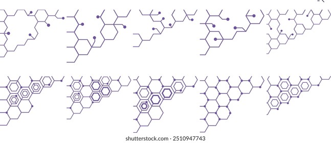 Modern Line Hexagon Corner Vector