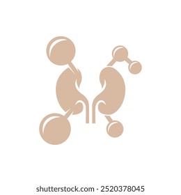 Modern logo design for the chemical kidney which is included in the body organs.