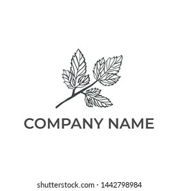 Modern logo design for hand draw leaves