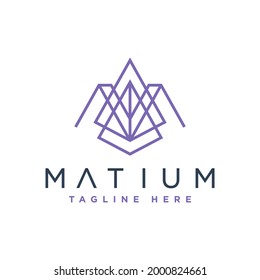 carta inicial de diseño de logotipo moderno AM
