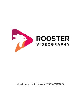 modern logo design for videographer identity