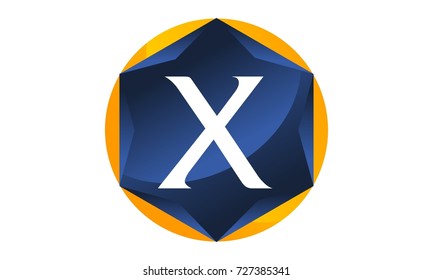 Modern Logo Letter X