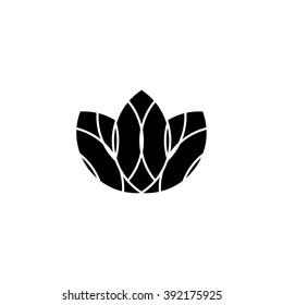 Modern Lotus flower.