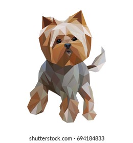 Modern lowpoly (low polygonal) portrait of Yorkshire Terrier dog, isolated on white. Trendy illustration