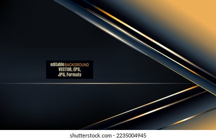 Modern luxury background carbon 3d VIP vector overlap layer on dark and shadow black,  illustration Texture with line golden Sparkles glitters