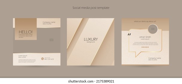Modern And Luxury Client Testimonial Instagram Social Media Post Design. Customer Service Feedback Review, Brand Introduction Background Template.
