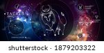 Modern magic witchcraft card with astrology Taurus zodiac sign. Realistic hand drawing bull head. Zodiac characteristic