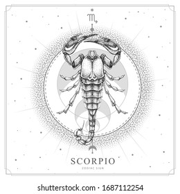 Modern Magic Witchcraft Card With Astrology Scorpio Zodiac Sign. Realistic Hand Drawing Scorpion Illustration