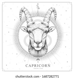 Modern magic witchcraft card with astrology Capricorn zodiac sign. Realistic hand drawing ram or mouflon head