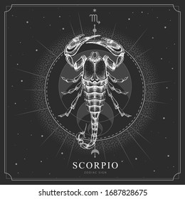 Modern magic witchcraft card with astrology Scorpio zodiac sign. Realistic hand drawing scorpion illustration