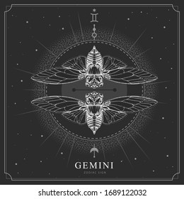 Modern magic witchcraft card with astrology Gemini zodiac sign. Realistic hand drawing butterfly or cicada illustration