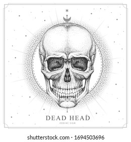 Modern magic witchcraft card with astrology human skull sign. Realistic hand drawing dead head