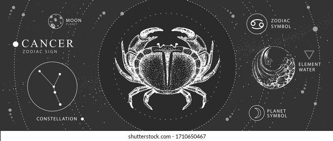 Modern magic witchcraft card with astrology Cancer zodiac sign. Realistic hand drawing crab illustration. Zodiac characteristic