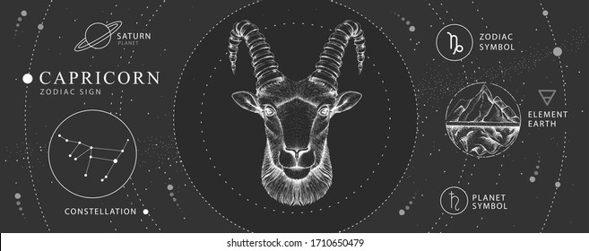 Modern magic witchcraft card with astrology Capricorn zodiac sign. Realistic hand drawing ram or mouflon head. Zodiac characteristic