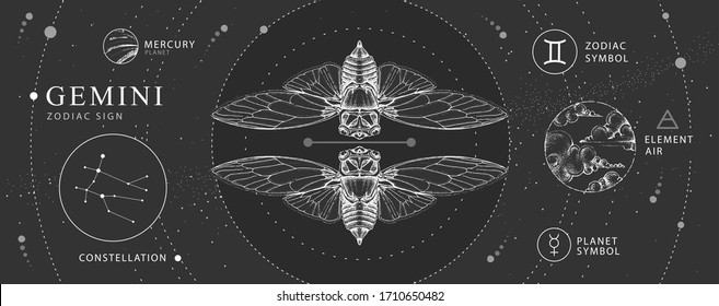 Tarjeta de brujería mágica moderna con signo de astrología Gemini zodiaco. Dibujo manual realista mariposa o ilustración de cigarra. Características del zodiaco