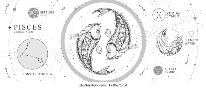 Modern magic witchcraft card with astrology Pisces zodiac sign. Realistic hand drawing koi fish illustration. Zodiac characteristic