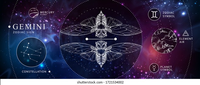 Modern magic witchcraft card with astrology Gemini zodiac sign. Realistic hand drawing butterfly or cicada illustration. Zodiac characteristic