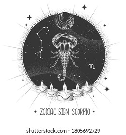 Modern magic witchcraft card with astrology Scorpio zodiac sign. Realistic hand drawing scorpion illustration. Zodiac characteristic