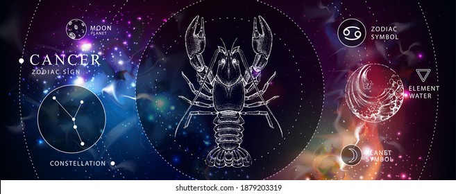 Tarjeta de brujería mágica moderna con signo de astrología Cáncer de zodiaco. Ilustración realista de cangrejo a mano. Característica del zodiaco