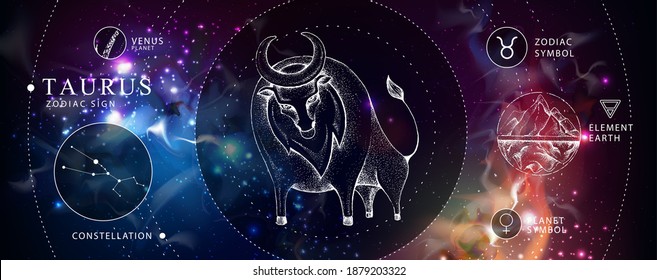 Modern magic witchcraft card with astrology Taurus zodiac sign. Realistic hand drawing bull head. Zodiac characteristic