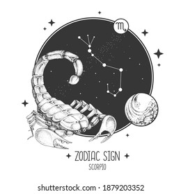 Modern magic witchcraft card with astrology Scorpio zodiac sign. Realistic hand drawing scorpion illustration. Zodiac characteristic