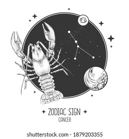 Modern magic witchcraft card with astrology Cancer zodiac sign. Realistic hand drawing lobster illustration. Zodiac characteristic