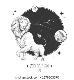 Modern magic witchcraft card with astrology Leo zodiac sign. Realistic hand drawing lion head. Zodiac characteristic