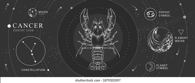 Modern magic witchcraft card with astrology Cancer zodiac sign. Realistic hand drawing crab illustration. Zodiac characteristic