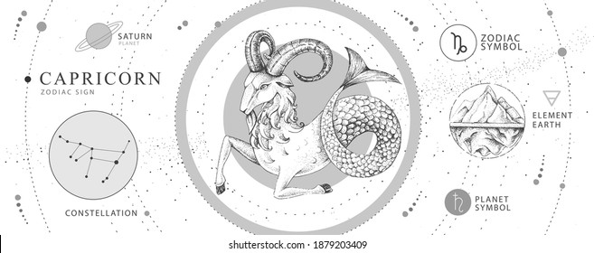 Modern magic witchcraft card with astrology Capricorn zodiac sign. Realistic hand drawing ram or mouflon head. Zodiac characteristic
