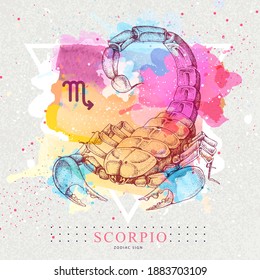 Tarjeta de brujería mágica moderna con signo de astrología Scorpio zodiac sobre fondo de acuarela artístico. Una mano realista que dibuja la ilustración del escorpión.