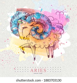 Modern magic witchcraft card with astrology Aries zodiac sign on artistic watercolor background. Realistic hand drawing ram or mouflon.