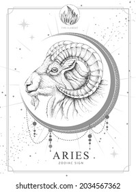 Modern magic witchcraft card with astrology Aries zodiac sign. Realistic hand drawing ram or mouflon head