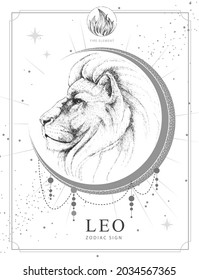 Modern magic witchcraft card with astrology Leo zodiac sign. Realistic hand drawing lion head