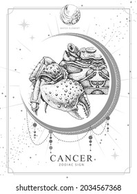 Modern Magic Witchcraft Card With Astrology Cancer Zodiac Sign. Realistic Hand Drawing Crab Illustration