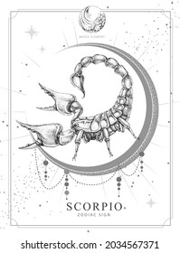 Modern magic witchcraft card with astrology Scorpio zodiac sign. Realistic hand drawing scorpion illustration