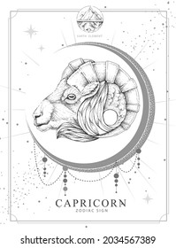 Modern magic witchcraft card with astrology Capricorn zodiac sign. Realistic hand drawing ram or mouflon head