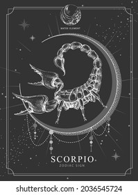 Modern magic witchcraft card with astrology Scorpio zodiac sign. Realistic hand drawing scorpion illustration